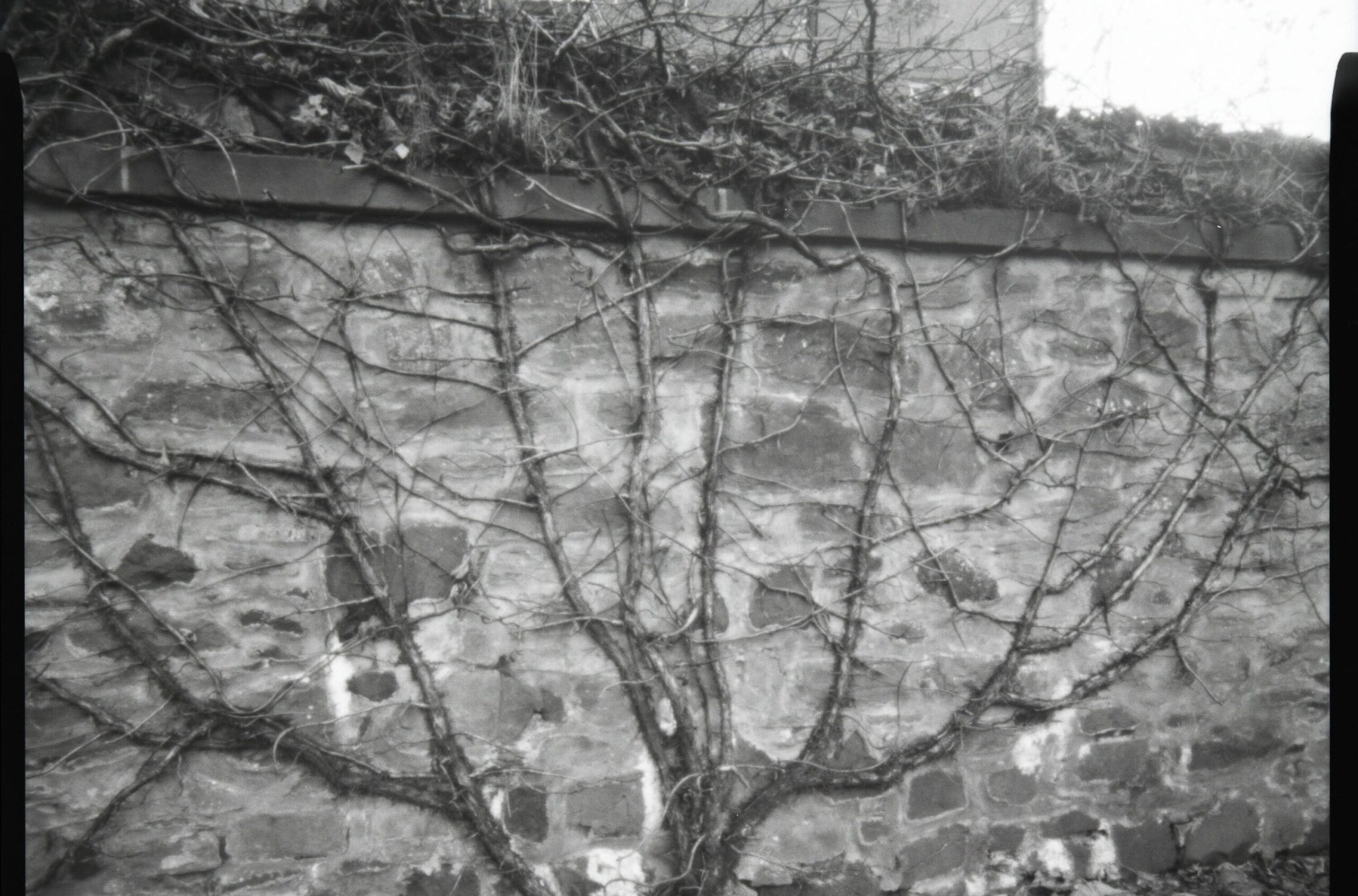 pinhole-photography-workshop-scaled-aspect-ratio-530-350