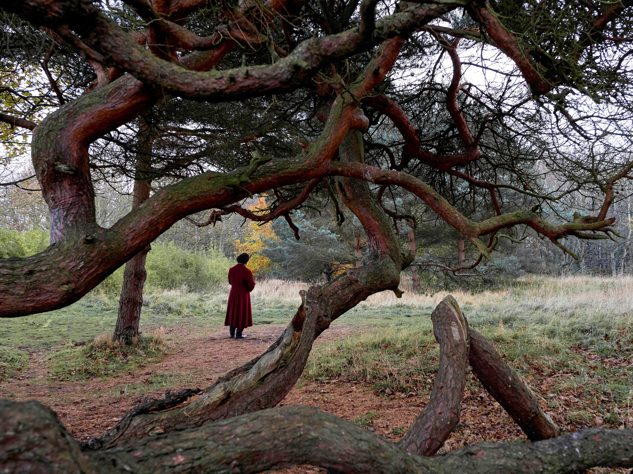 Rapture, 1846 (Lessons of The Hour), 2019 © Isaac Julien